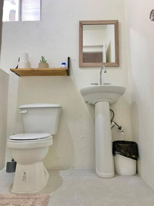 Casa Anuiti Centrica Ubicacion. Appartement San José del Cabo Buitenkant foto