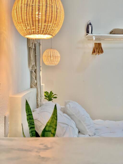 Casa Anuiti Centrica Ubicacion. Appartement San José del Cabo Buitenkant foto
