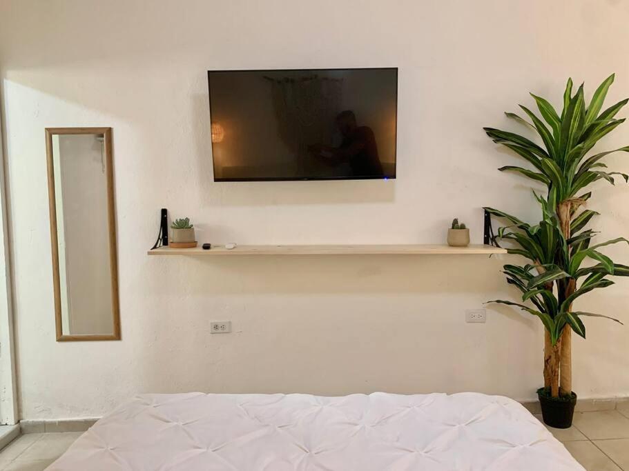 Casa Anuiti Centrica Ubicacion. Appartement San José del Cabo Buitenkant foto